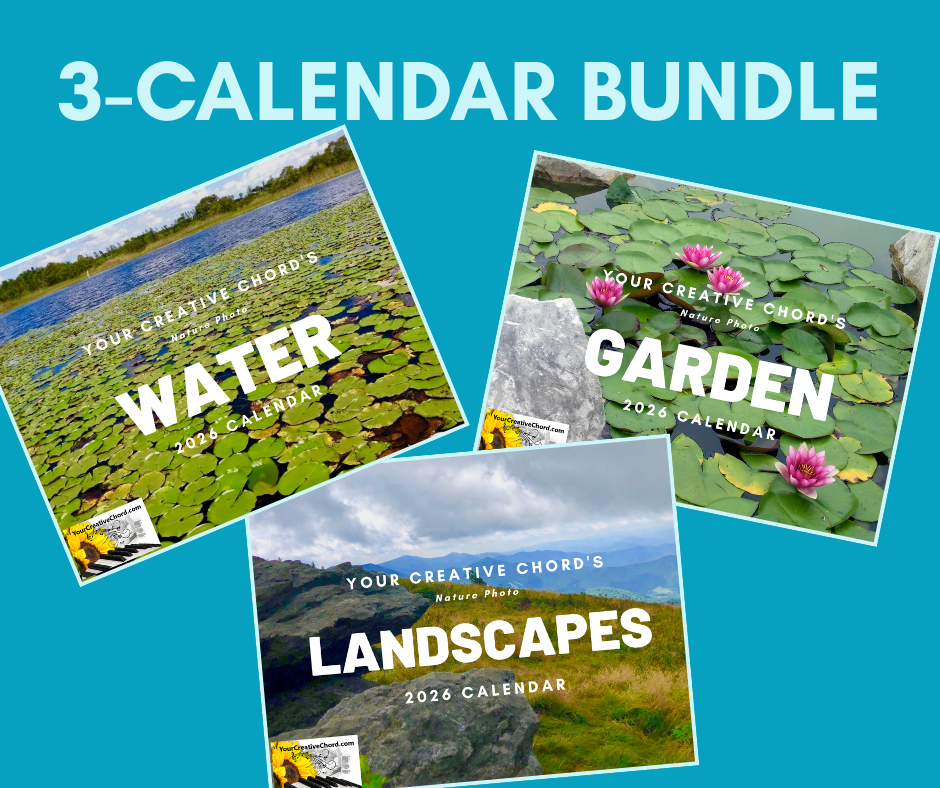 3-Calendar Bundle featuring original nature photography: Water, Landscapes, and Garden 2026 calendar covers.