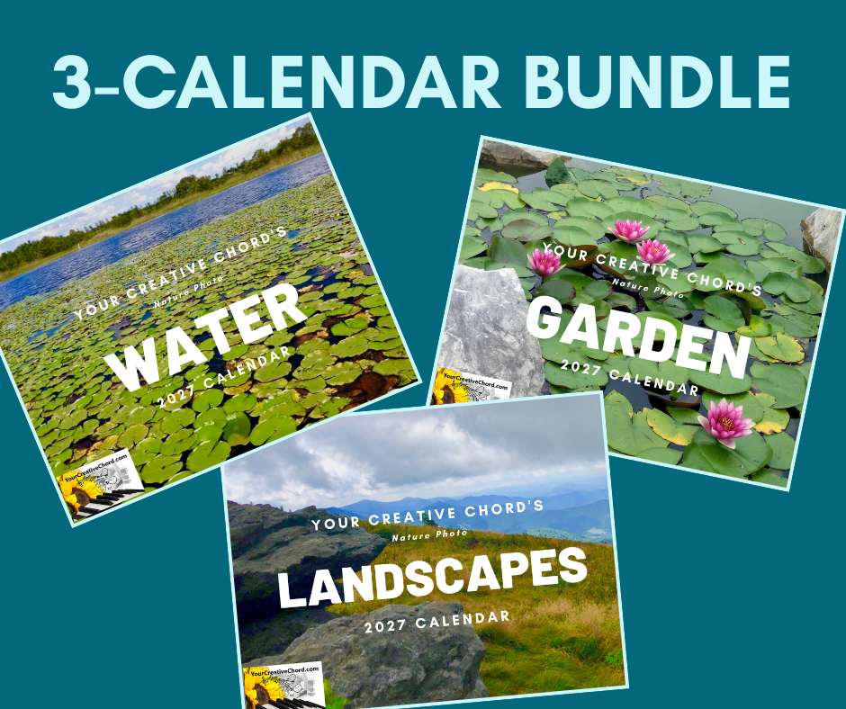 3-Calendar Bundle featuring original nature photography: Water, Landscapes, and Garden 2026 calendar covers.